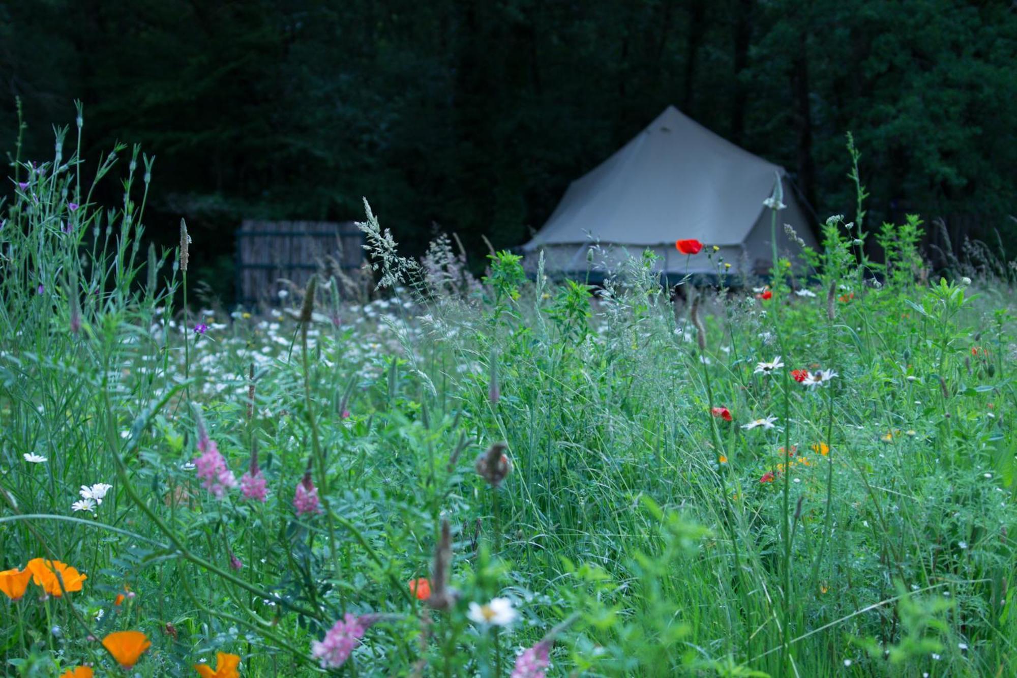 Belair Le Camping Champagnac-de-Belair Экстерьер фото